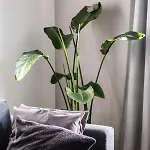 Modernes Am Zoo Apartment Wuppertal