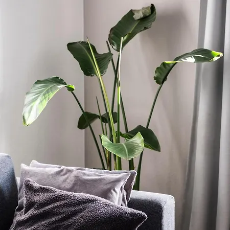 Modernes Am Zoo Apartament Wuppertal