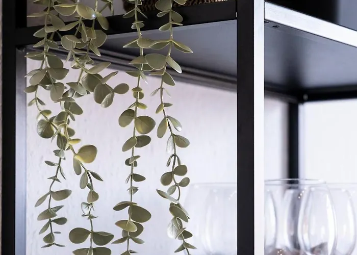 公寓 Modernes Am Zoo