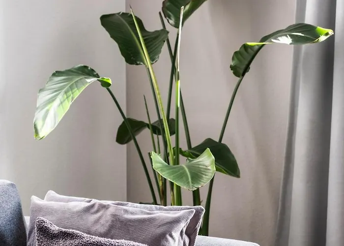 Modernes Am Zoo 公寓 伍珀塔尔